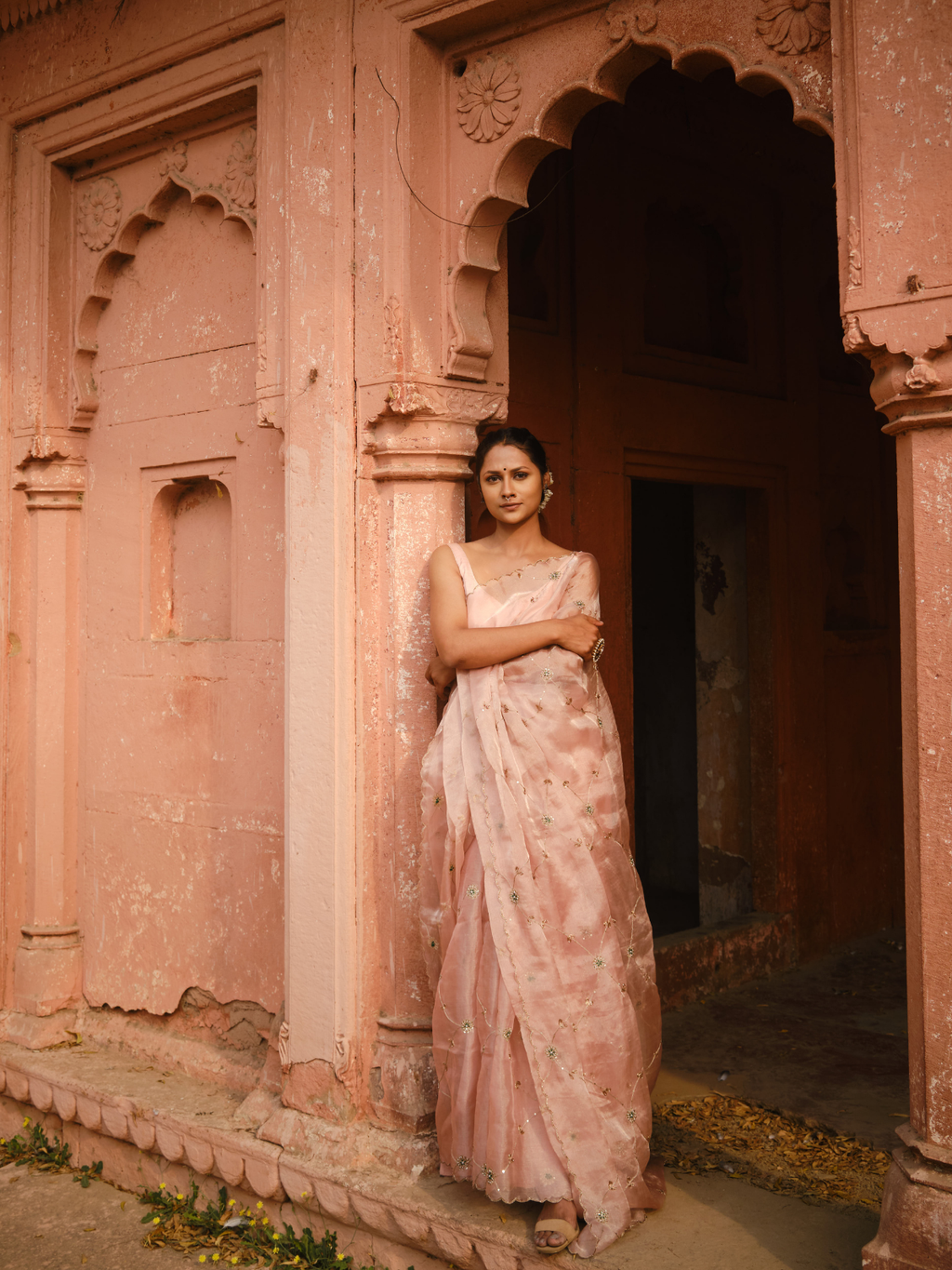 Meenakari Jaal Saree- Mauve