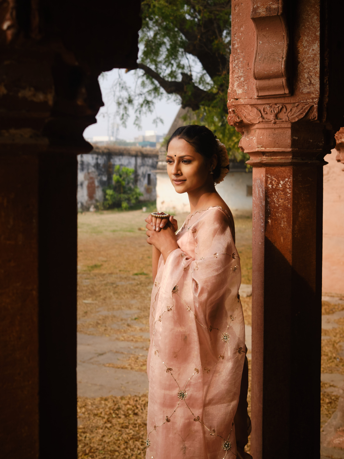 Meenakari Jaal Saree- Mauve