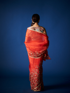Royal Border Saree