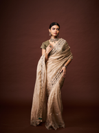 Regal Border Saree
